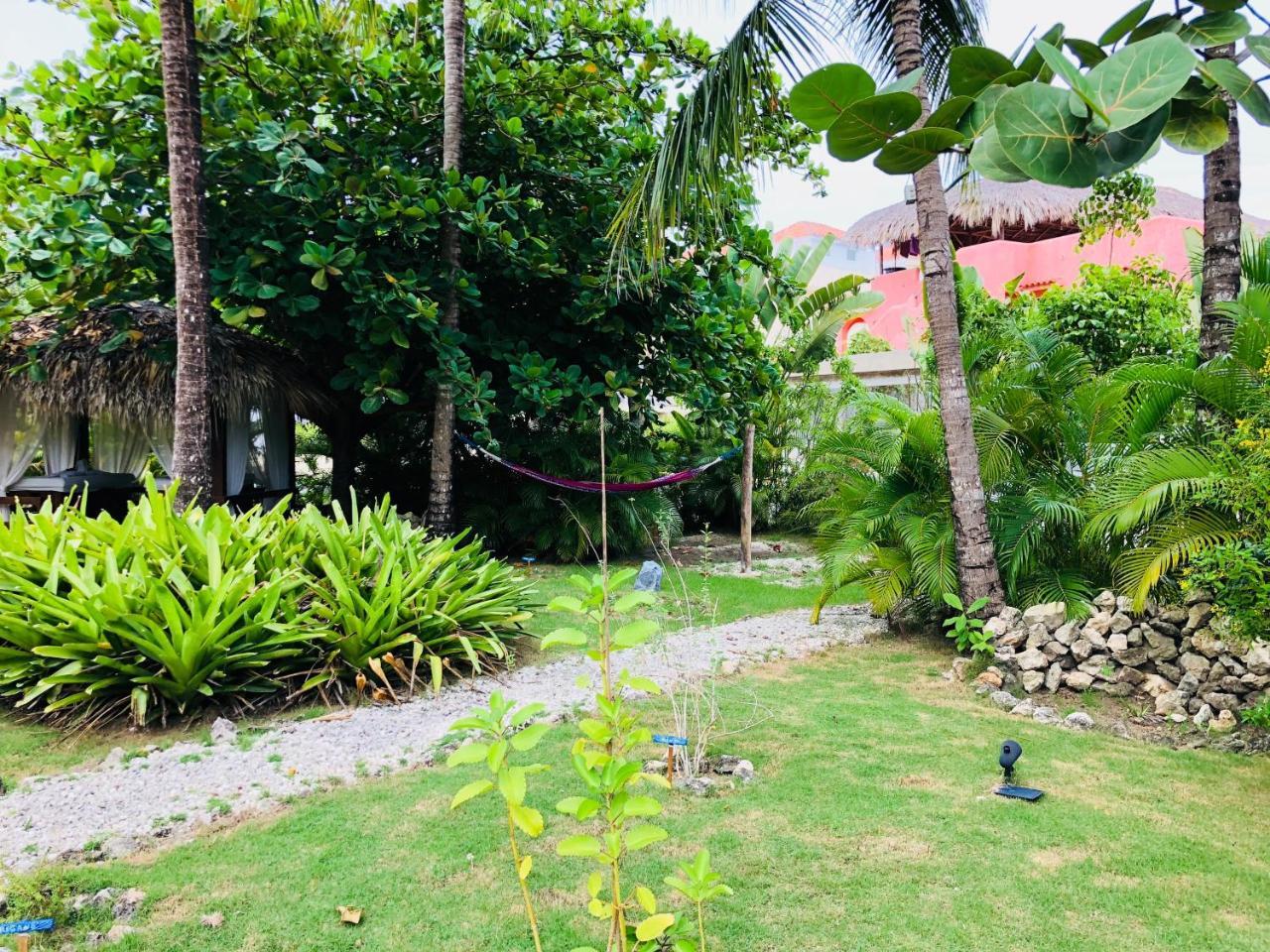 Las Terrazas Deluxe Pool Beach Club & Spa ปุนตากานา ภายนอก รูปภาพ